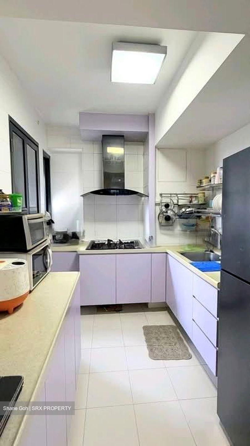 Blk 89 Skyterrace @ Dawson (Queenstown), HDB 3 Rooms #549696441